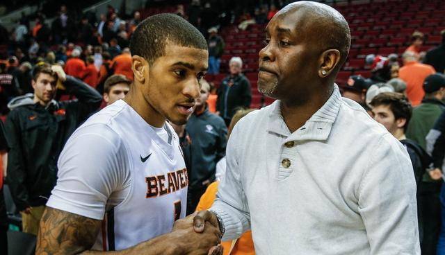 这一决定体 这一决定体